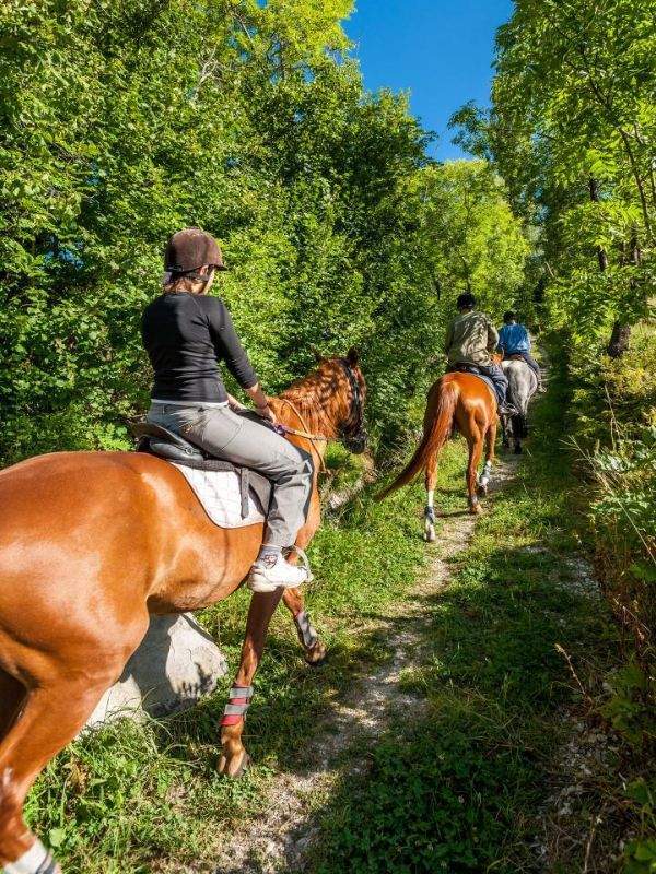 Colonie de vacances Allos