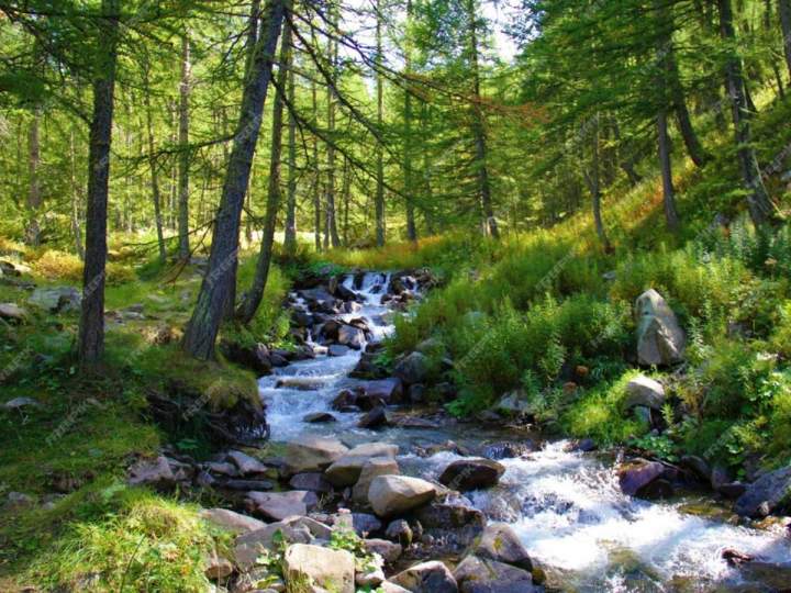Centre de vacances en été Allos